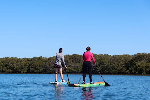 Summer Shark Paddle Board Rentals