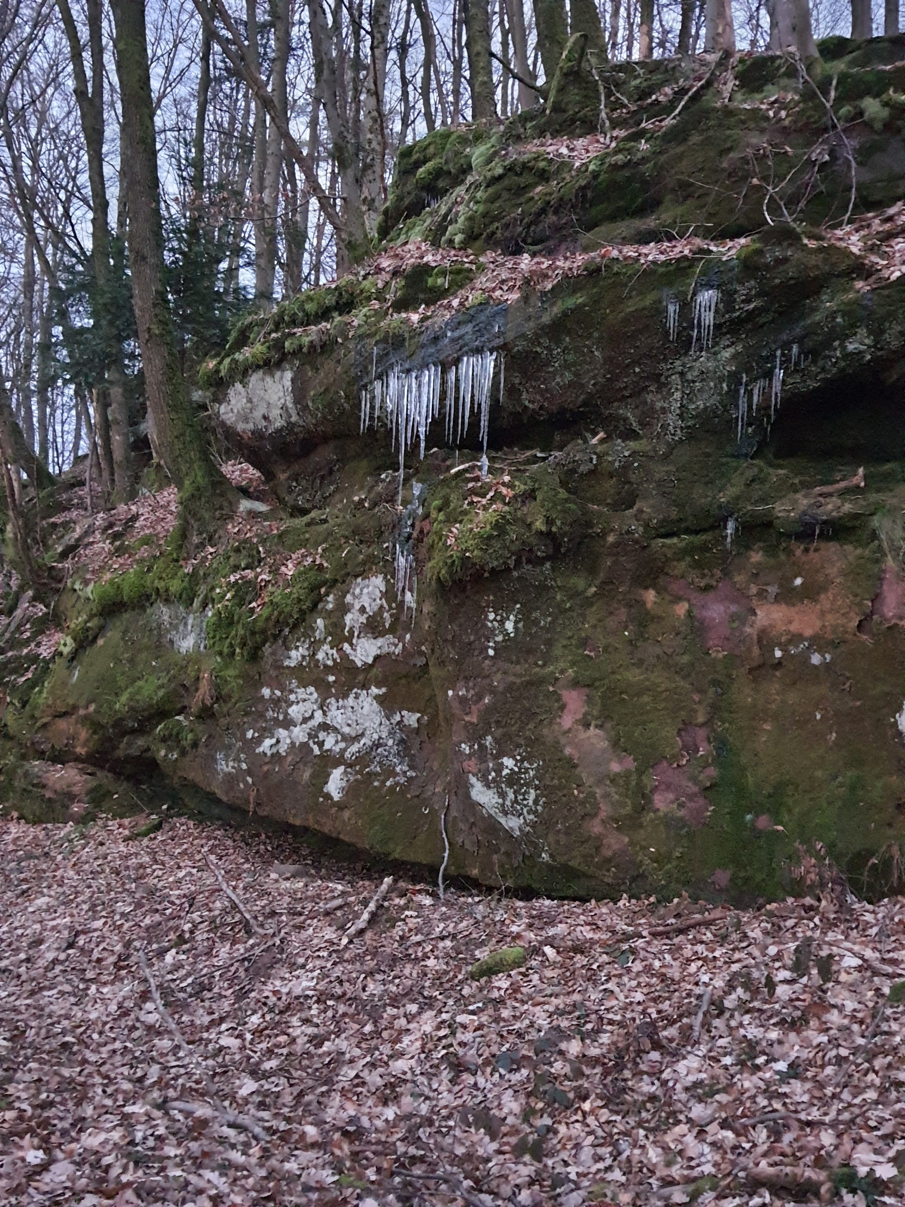 Photo n° 27 de l'avis de Fabili.2467. fait le 27/02/2023 à 19:46