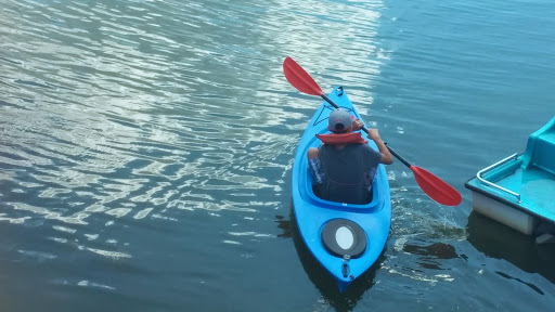 Park «Lake Park», reviews and photos, 2100-2198 Lee St, Des Plaines, IL 60018, USA