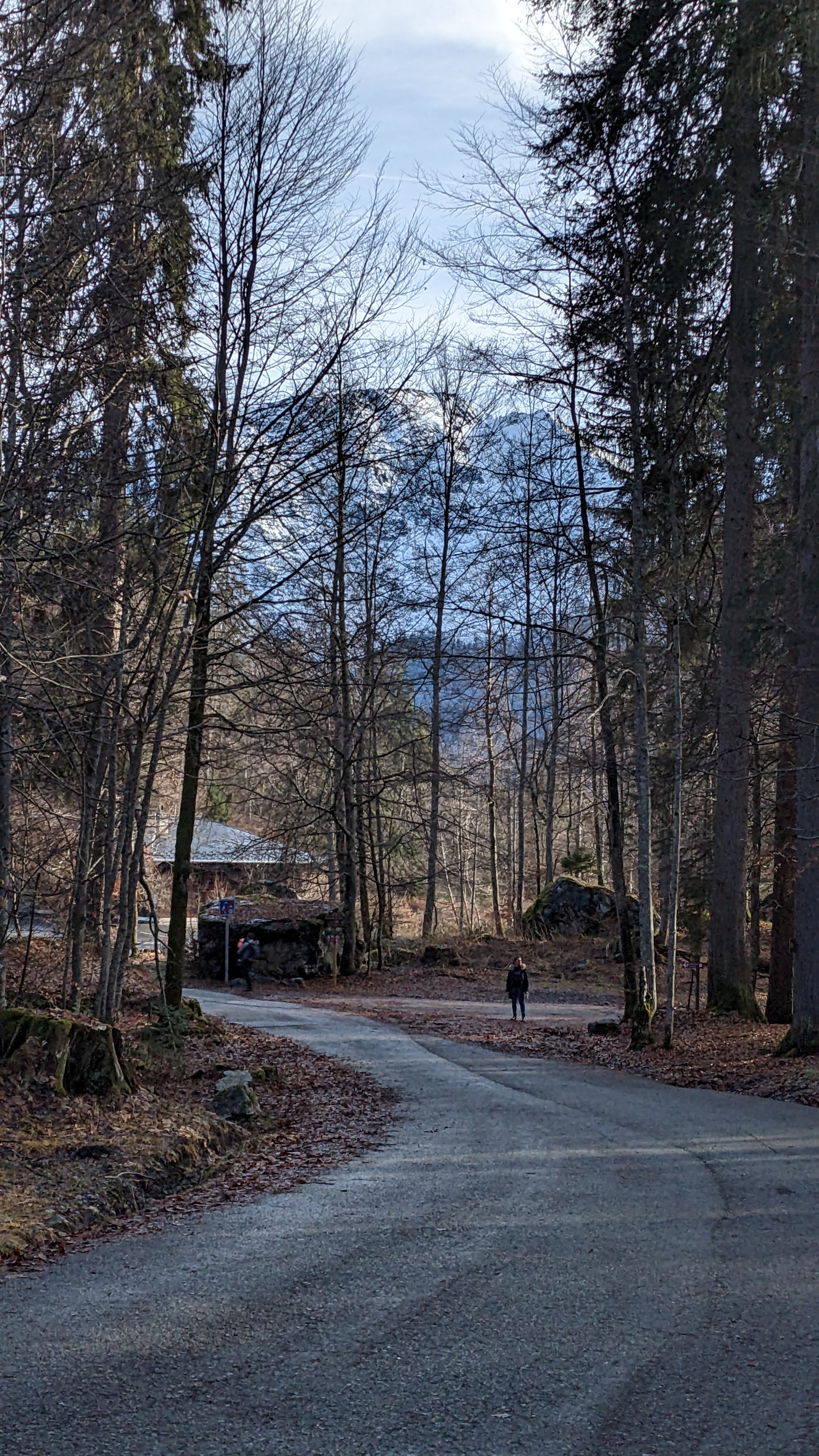 Photo n° 3 de l'avis de Yulov. fait le 25/01/2023 à 08:30
