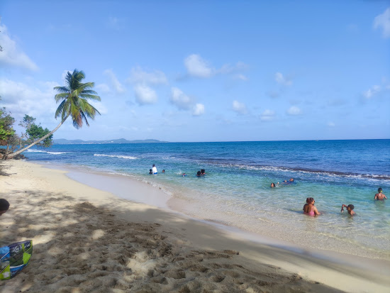 Plage Anse désert