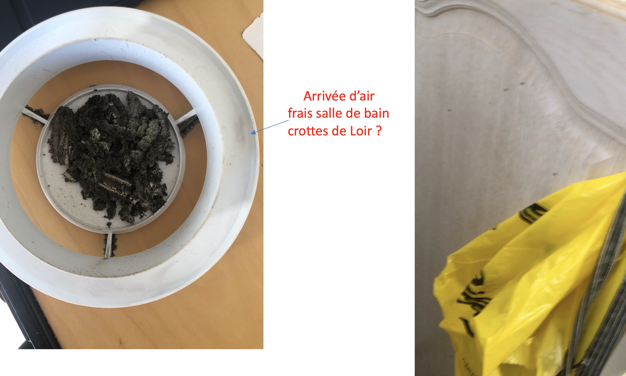 Photo n° 12 de l'avis de Gérard.a fait le 14/10/2022 à 10:53