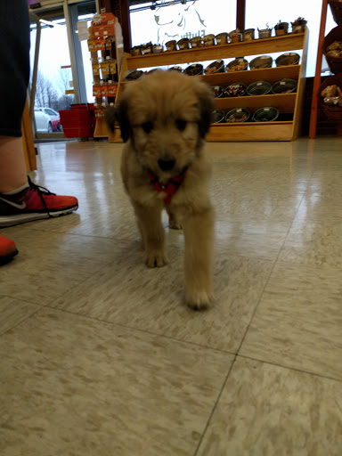 Pet Supply Store «Fluffy & Floyd Pet Supply», reviews and photos, 5211 Capitol Blvd SE, Tumwater, WA 98501, USA