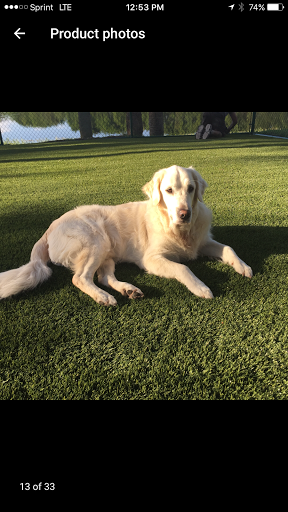 Home Improvement Store «Collier True Value Hardware & Synthetic YardScapes», reviews and photos, 1970 NE 45th St, Oakland Park, FL 33308, USA