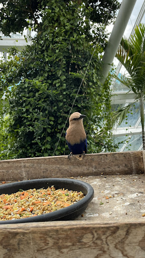 Zoo «Rainforest Pyramid», reviews and photos, 1 Hope Blvd, Galveston, TX 77554, USA