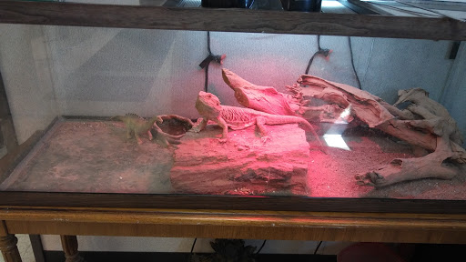 Used Car Dealer «Veracity Auto Center», reviews and photos, 1963 Austin Hwy, San Antonio, TX 78218, USA