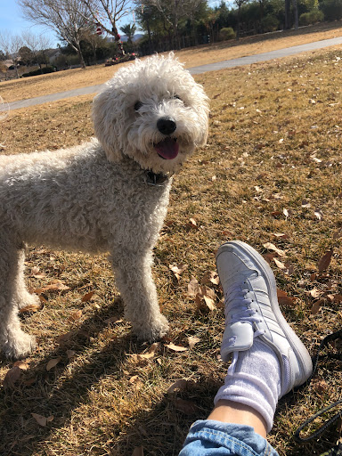 Pet Store «Happiness Is Pets Vi», reviews and photos, 616 E Roosevelt Rd, Lombard, IL 60148, USA