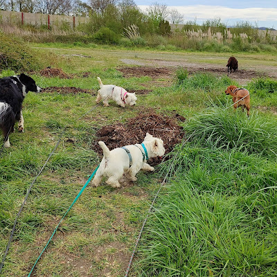 EuskAnimal à Hendaye