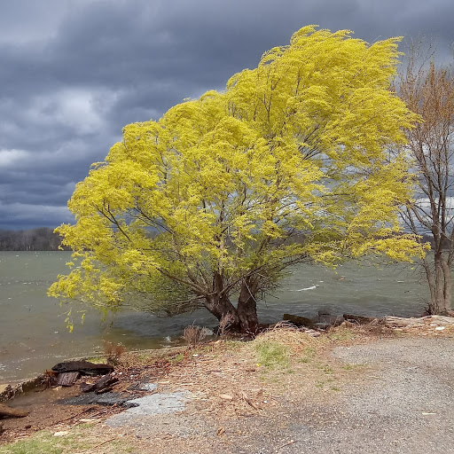 National Park «Fort Washington Park», reviews and photos, 13551 Fort Washington Rd, Fort Washington, MD 20744, USA