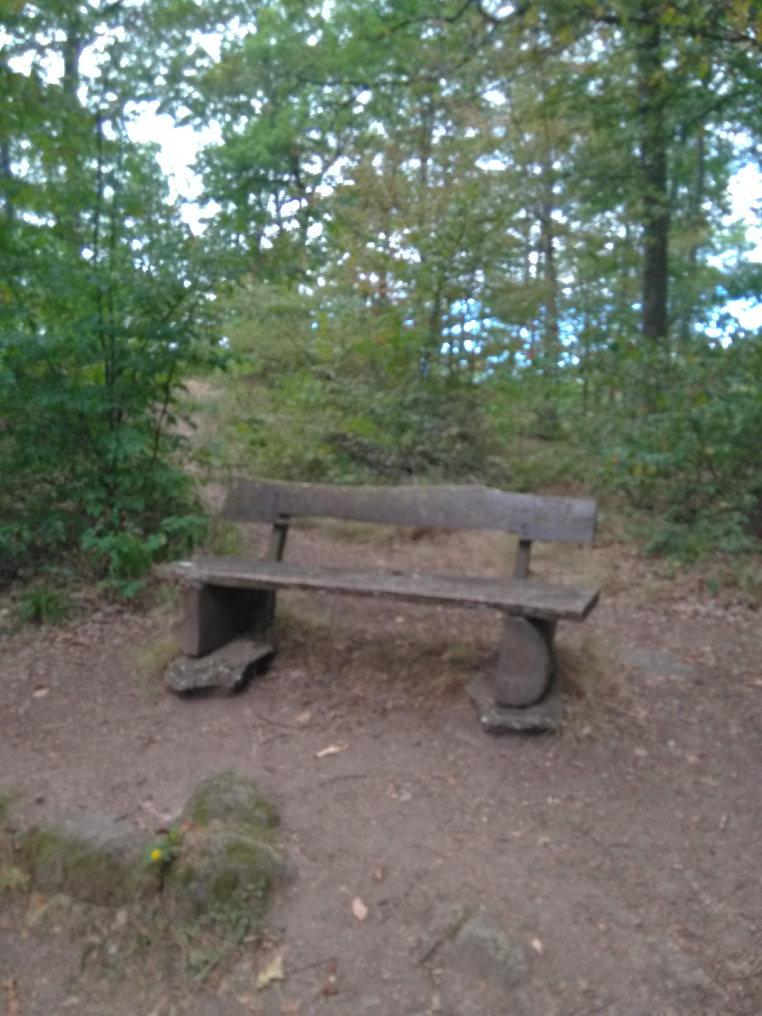 Photo n° 3 de l'avis de Dmitriy.i fait le 27/09/2019 à 10:07