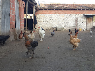 293 Sayılı Pamukçu Tarım Kredi Kooperatifi