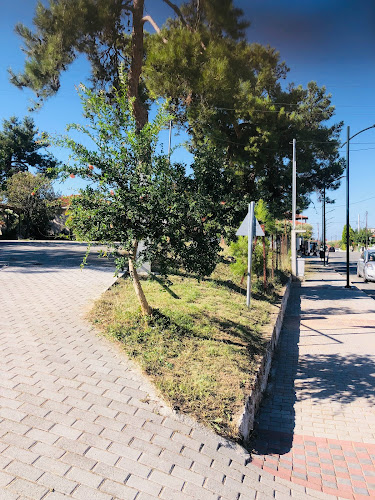 Comentarii opinii despre Κλειστό Γυμναστήριο Σημάντρων Χαλκιδικής