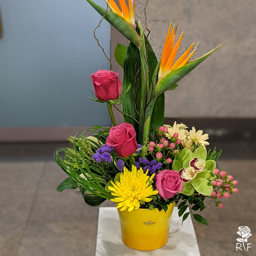 Florist «Rosemont Florist», reviews and photos, 6133 N River Rd #130w, Rosemont, IL 60018, USA