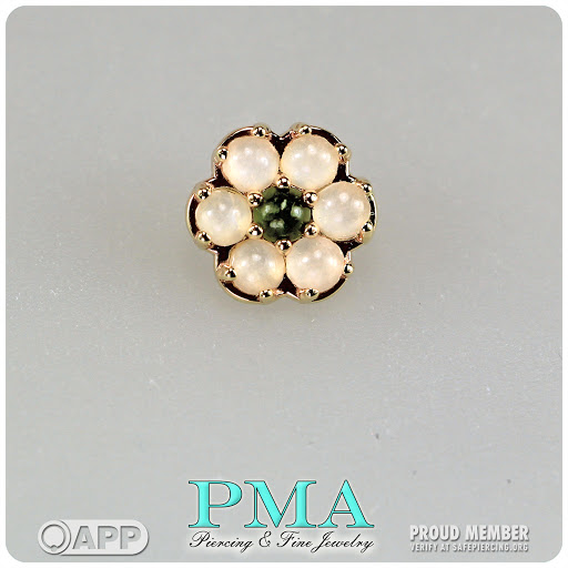 Body Piercing Shop «Wasted Youth Tattoo & PMA Piercing», reviews and photos, 1335 Lakeside Dr #1, Romeoville, IL 60446, USA