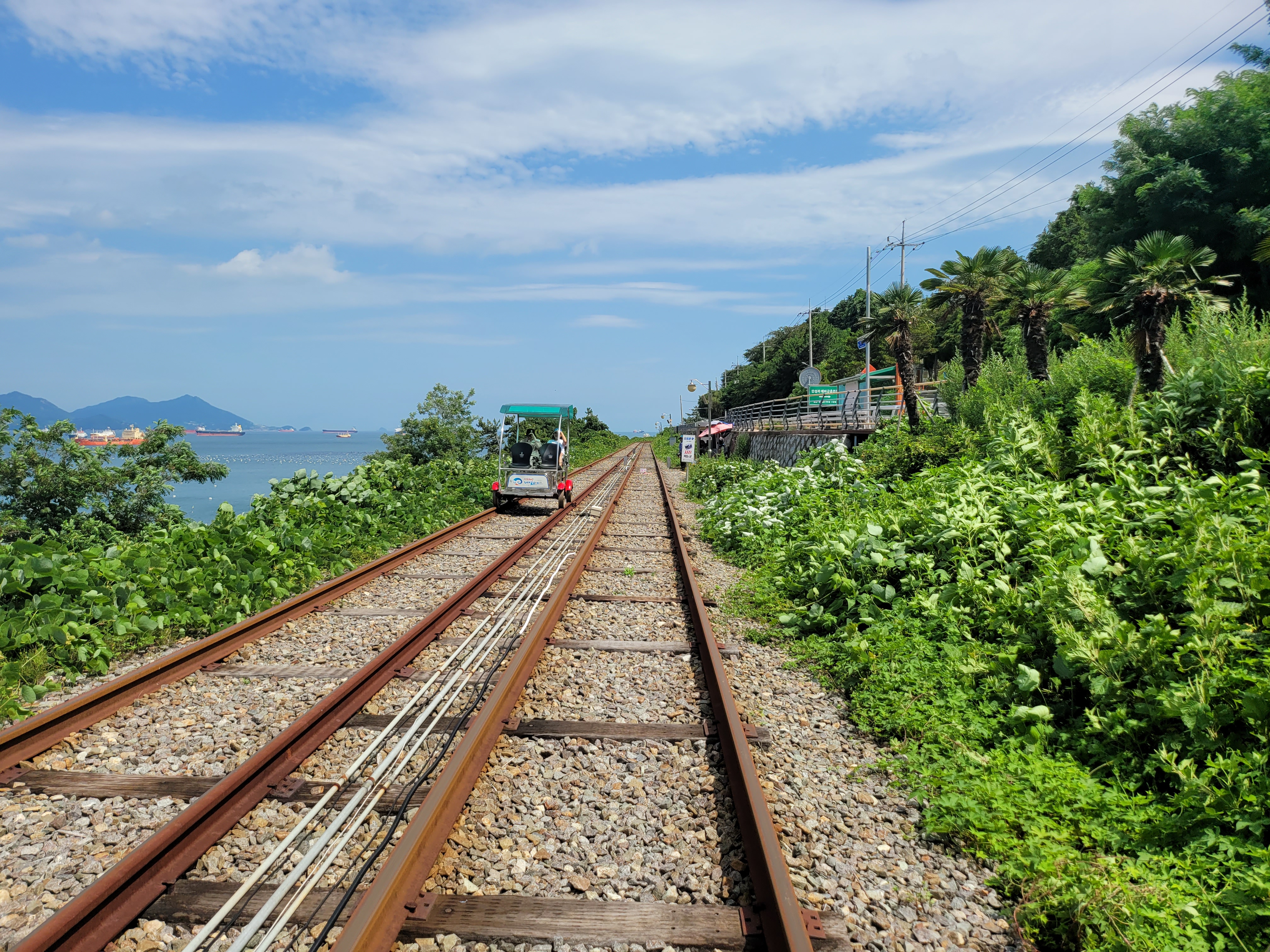 Picture of a place: Yeosu Ocean Rail Bike