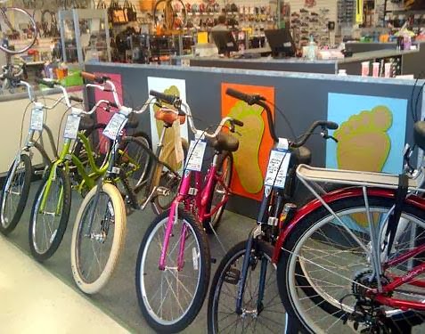 Bicycle Store «Chainwheel Drive», reviews and photos, 32796 US Hwy 19 N, Palm Harbor, FL 34684, USA