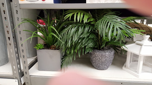 Home Goods Store «Tuesday Morning», reviews and photos, 3114 Ross Clark Cir, Dothan, AL 36303, USA