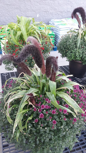 Department Store «Walmart Supercenter», reviews and photos, 4080 W Northern Ave, Pueblo, CO 81005, USA