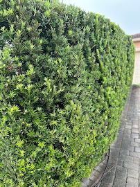 NORO Lawn Care, LLC - Photo 4 - Car repair in , Miami