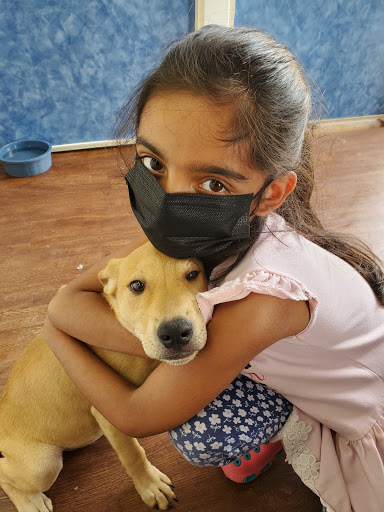 Pet Supply Store «Pets Plus - Bensalem», reviews and photos, 1336 Bristol Pike, Bensalem, PA 19020, USA