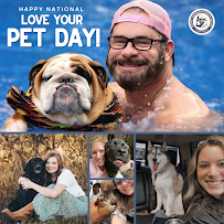 iPROTECT Insurance & Financial Service, Inc. - Photo 3 - Car repair in Huntsville, AL, Huntsville