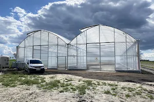 Farmer. FHU. Blocks and plastic tunnels image