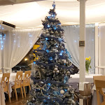 Photo n°3 de l'avis de Petio.o fait le 01/12/2019 à 19:57 sur le  Ristorante Marechiaro da Bruno...pizzeria à Pescara