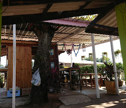Jeeja Coffe Shop photo