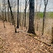 Stevens Creek Heritage Preserve