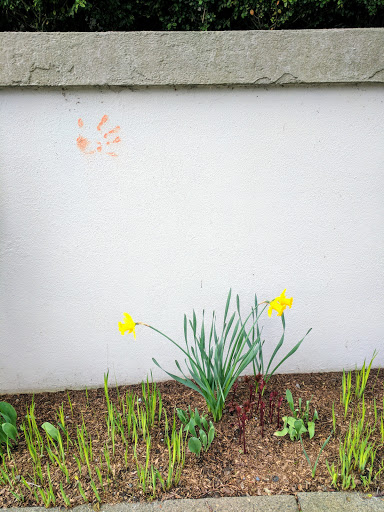 Park «Kerry Park», reviews and photos, 211 W Highland Dr, Seattle, WA 98119, USA