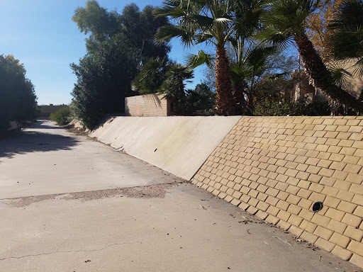 Explore dancing tattoo ideas, creative tattoo ideas in Tucson, available at Allure Medical