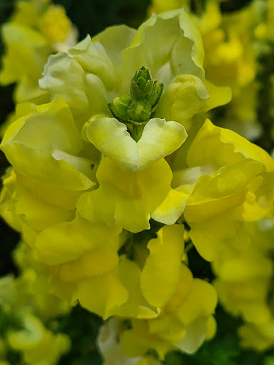 Park «Frankie Allen Park», reviews and photos, 100 Bagley St NE, Atlanta, GA 30305, USA