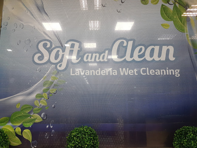 Opiniones de Soft and Clean en Metropolitana de Santiago - Lavandería