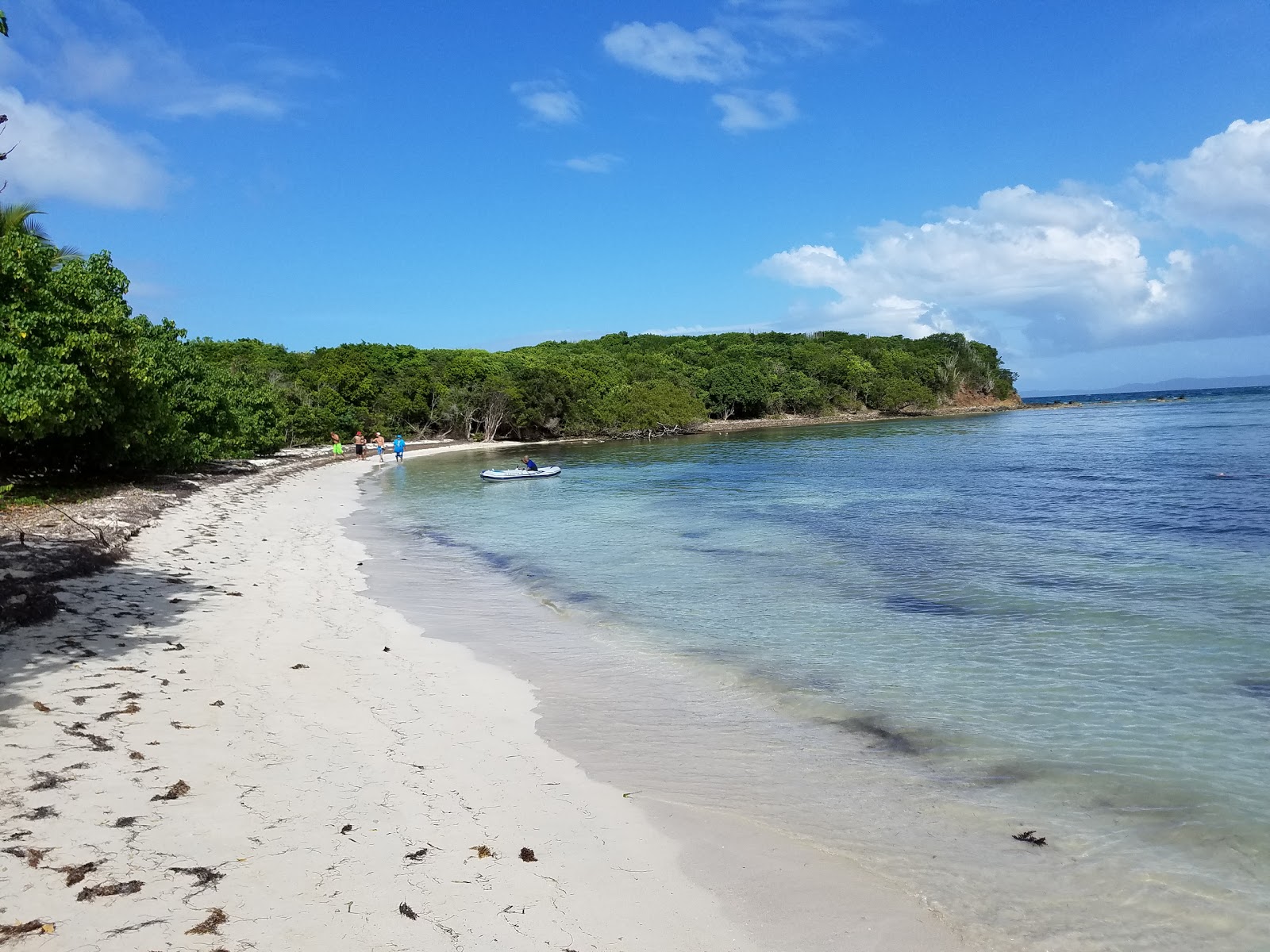 Playa Cayo Pineiro'in fotoğrafı vahşi alan