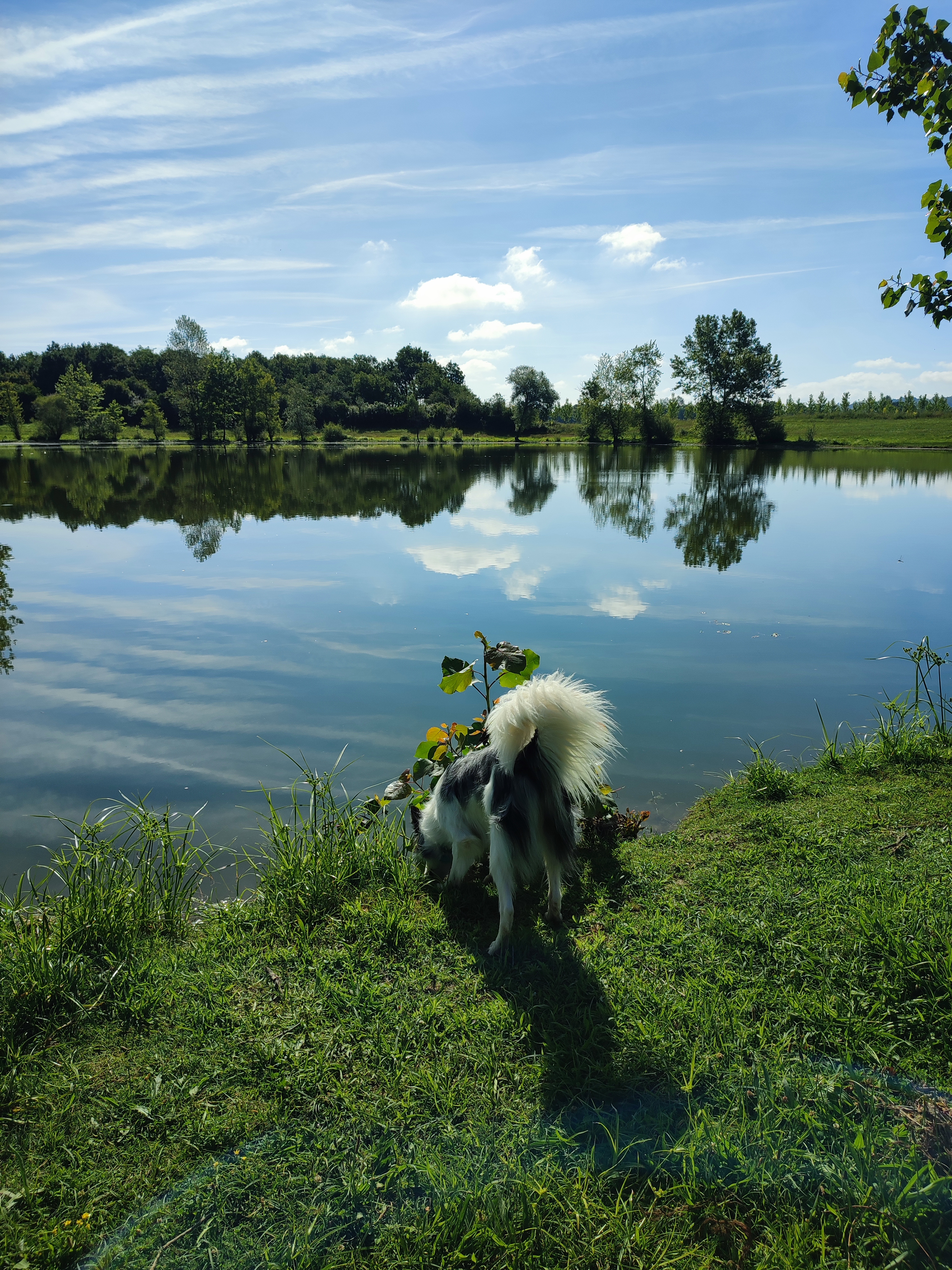 Photo n° 8 de l'avis de lily.i fait le 30/05/2022 à 16:04