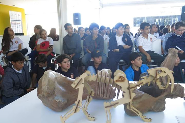 Mega Fauna Arroyo del Vizcaino - Ciudad de la Costa