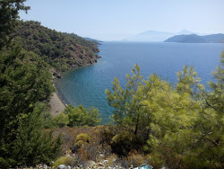 Yatlı Koyu'in fotoğrafı çok temiz temizlik seviyesi ile