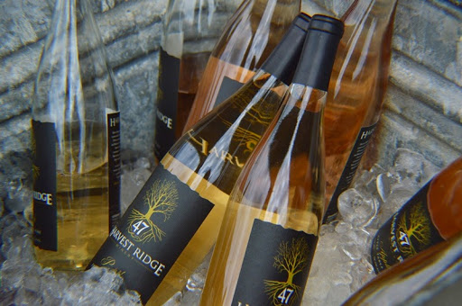 Winery «Harvest Ridge Winery», reviews and photos, 447 Westville Rd, Marydel, DE 19964, USA