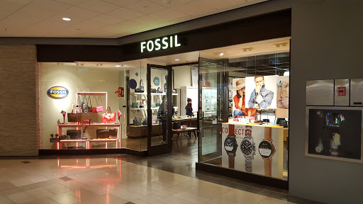 Fossil Store