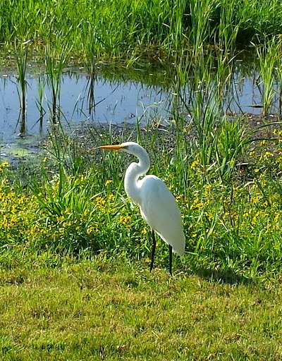Public Golf Course «Lida Greens Golf Course», reviews and photos, 22950 MN-108, Pelican Rapids, MN 56572, USA
