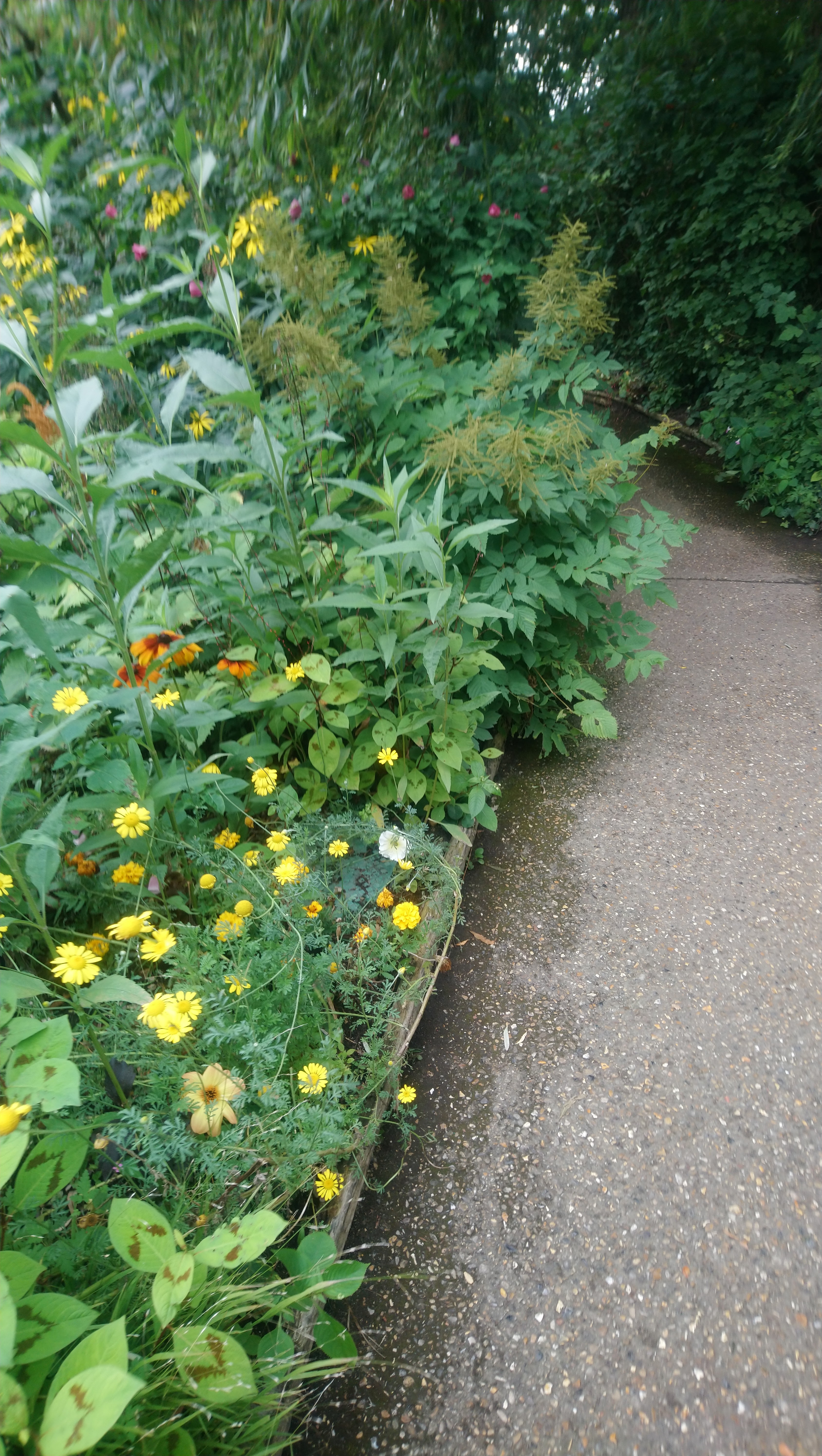 Photo n° 26 de l'avis de Angèle.K fait le 03/08/2020 à 11:24