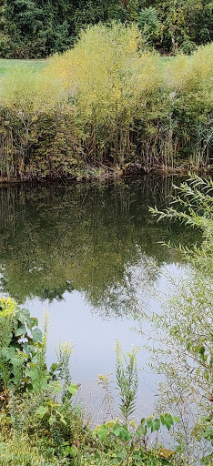 Golf Course «Berkshire Valley Golf Course», reviews and photos, 28 Cozy Lake Rd, Oak Ridge, NJ 07438, USA