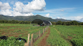 Centro Regional de Innovación para una Agricultura Sostenible Ceres