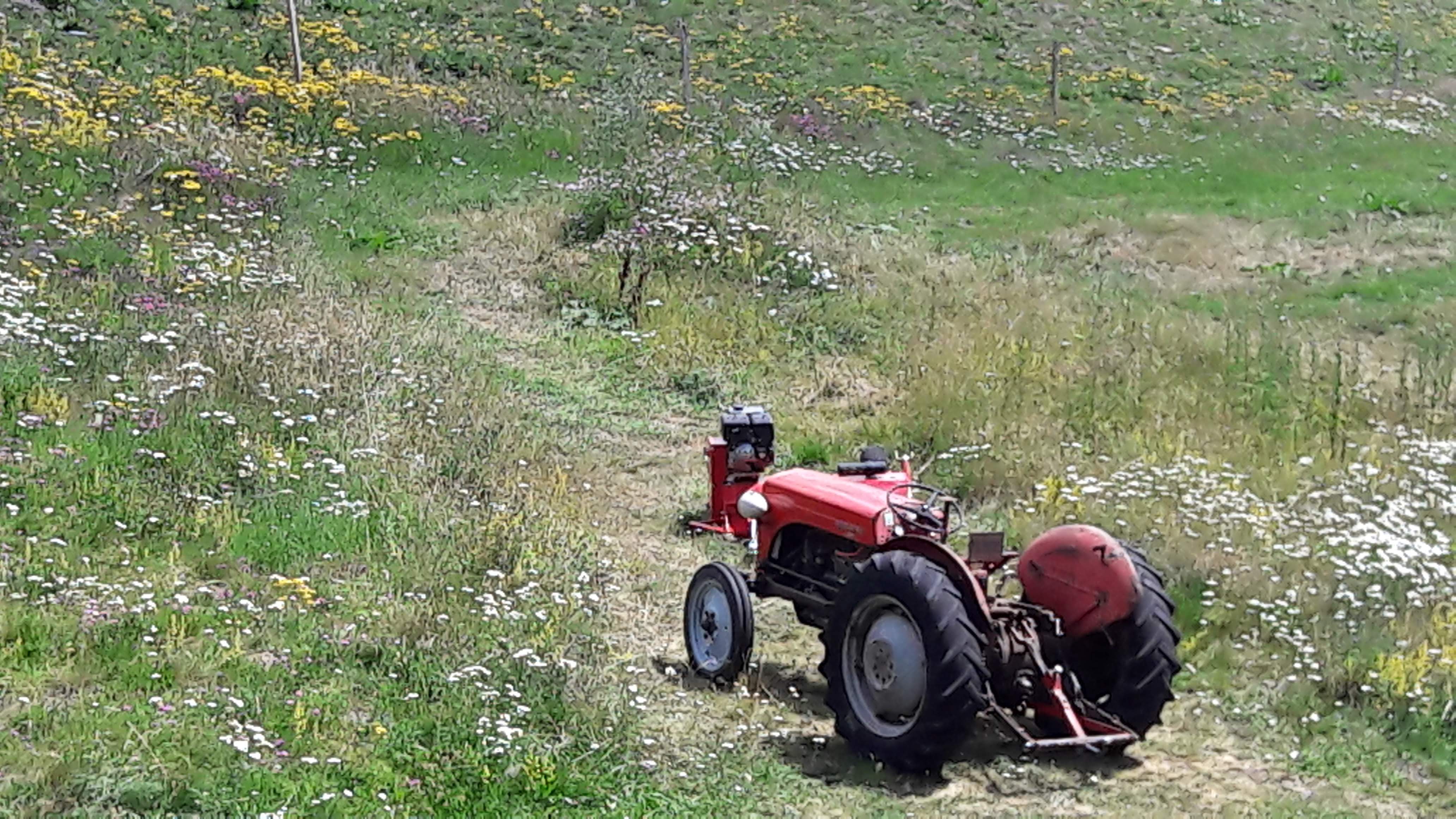 Photo n° 9 de l'avis de Fred.a fait le 24/07/2020 à 13:47