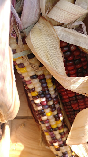 Health Food Store «Lexington Cooperative Market», reviews and photos, 807 Elmwood Ave, Buffalo, NY 14222, USA