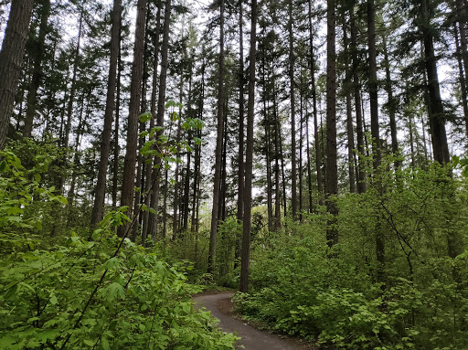 Nature Preserve «Lowami Hart Woods Natural Area», reviews and photos, 14895 SW Hart Rd, Beaverton, OR 97007, USA