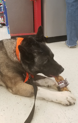 Pet Supply Store «Petco Animal Supplies», reviews and photos, 405 W Loop 281, Longview, TX 75605, USA