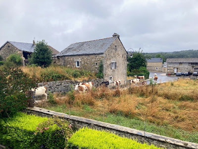Benjamin Chagot Naturopathe à Albaret-Sainte-Marie