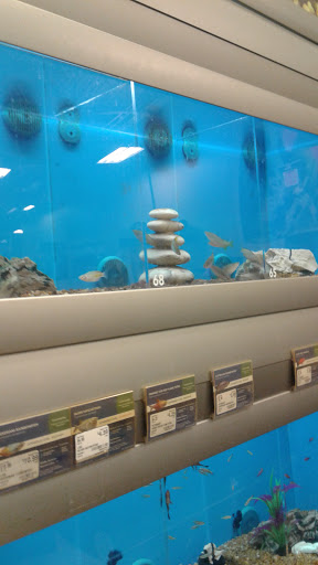 Pet Supply Store «PetSmart», reviews and photos, 901 US-1, North Brunswick Township, NJ 08902, USA