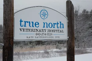 True North Veterinary Hospital image